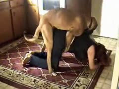 A prepared white dilettante lady engages in zoophilia intercourse with her eager dog while sporting crotchless trousers.